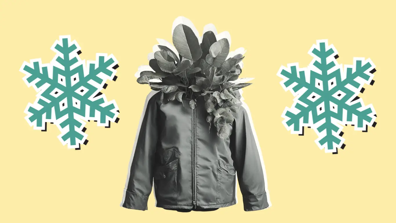 Plant inside a winter jacket