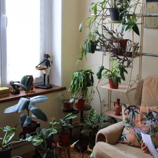 Une plant addict - interview avec Leslie